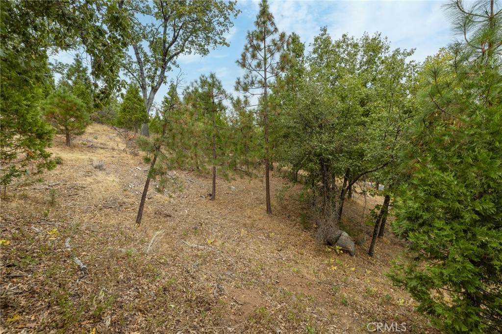 26 Timberview, North Fork, CA 93643