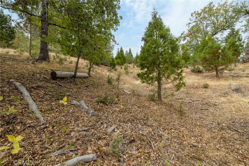 26 Timberview, North Fork, CA 93643