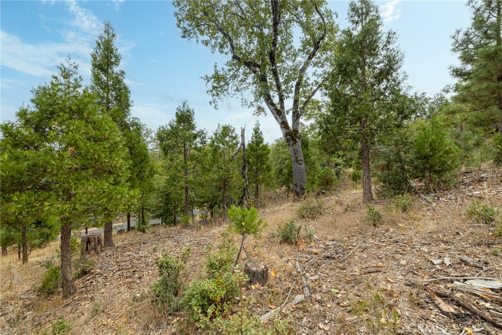 26 Timberview, North Fork, CA 93643