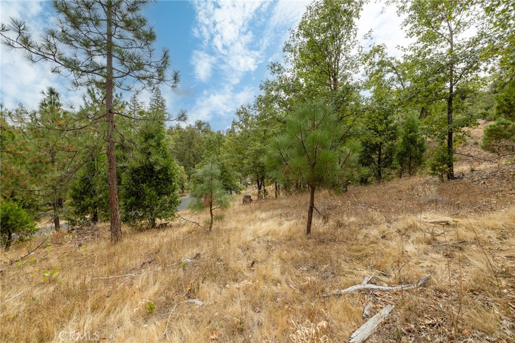 26 Timberview, North Fork, CA 93643