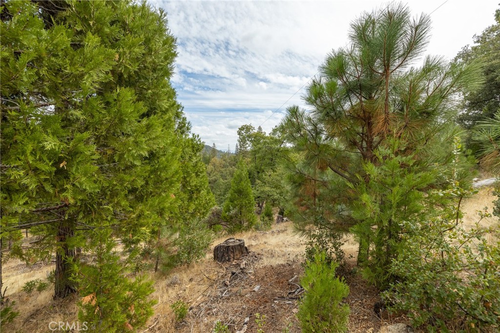 26 Timberview, North Fork, CA 93643