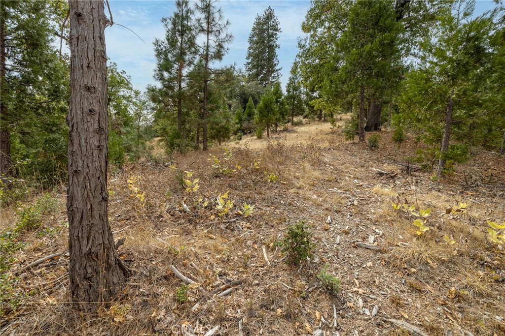 26 Timberview, North Fork, CA 93643