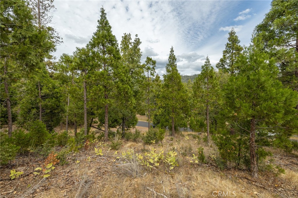 26 Timberview, North Fork, CA 93643