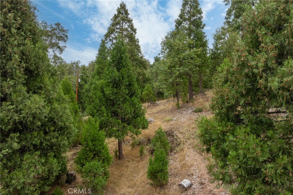 26 Timberview, North Fork, CA 93643
