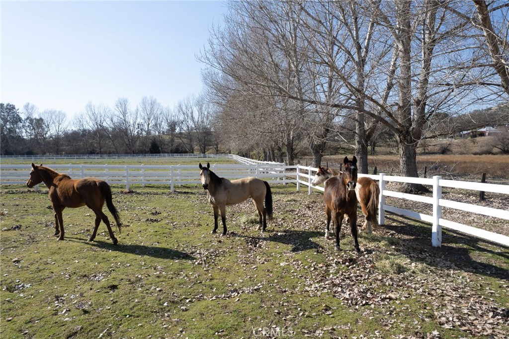 36039 Cranmore Ln., Auberry, CA 93602