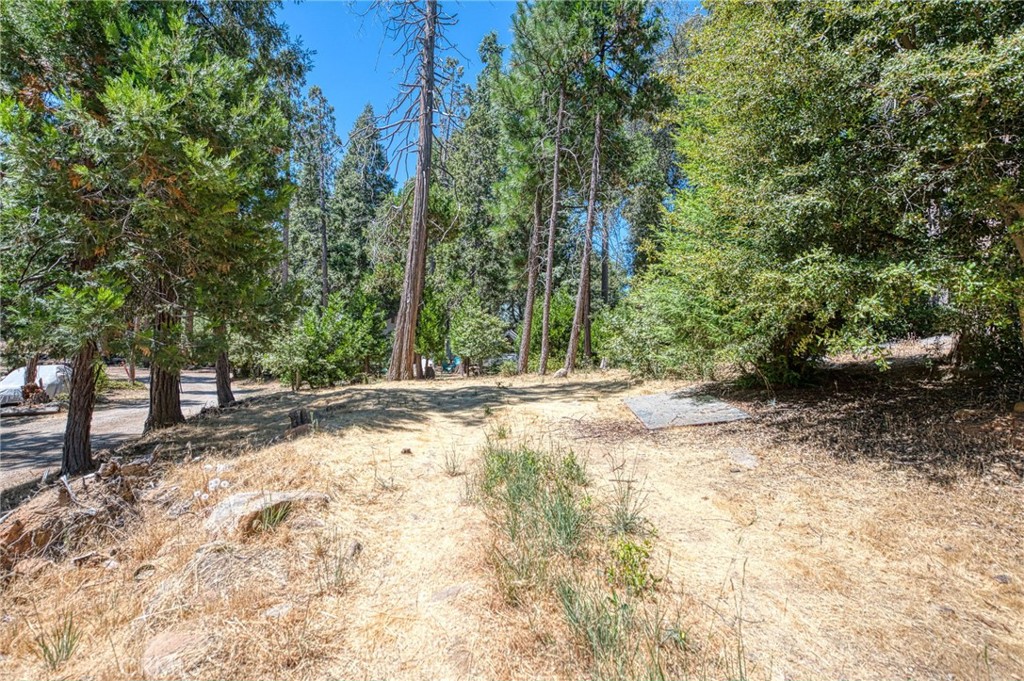 41918 Corlew Lane, Auberry, CA 93602