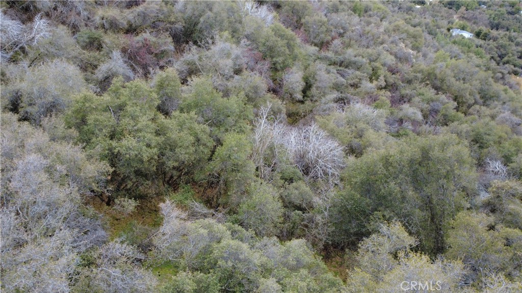 0 APN 190-430-43, Squaw Valley, CA 93675