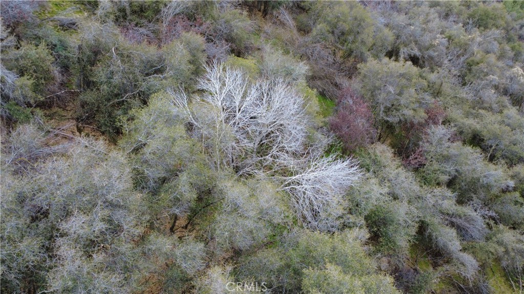 0 APN 190-430-43, Squaw Valley, CA 93675