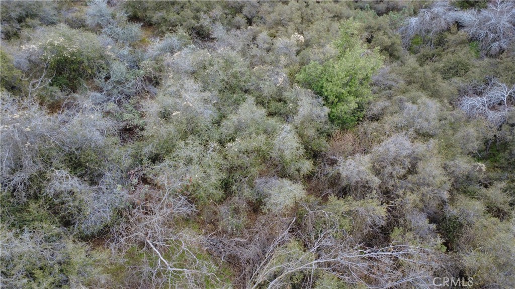 0 APN 190-430-43, Squaw Valley, CA 93675