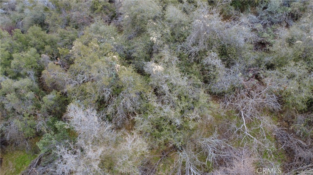 0 APN 190-430-43, Squaw Valley, CA 93675