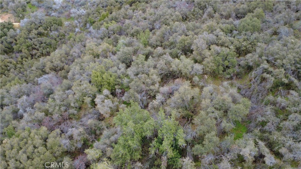 0 APN 190-430-43, Squaw Valley, CA 93675