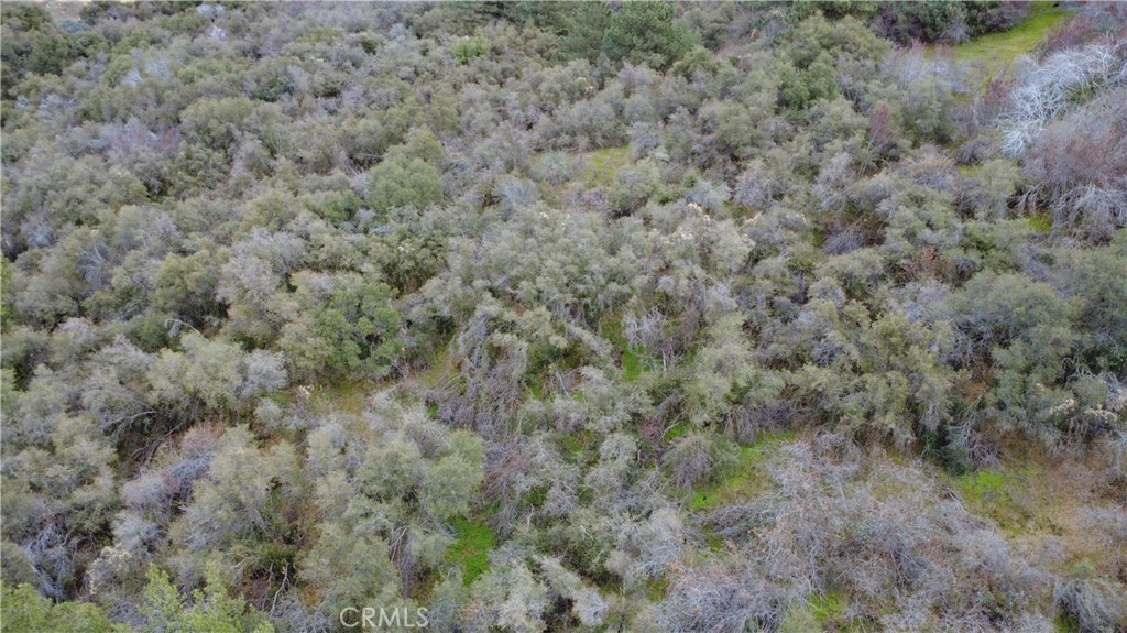 0 APN 190-430-43, Squaw Valley, CA 93675