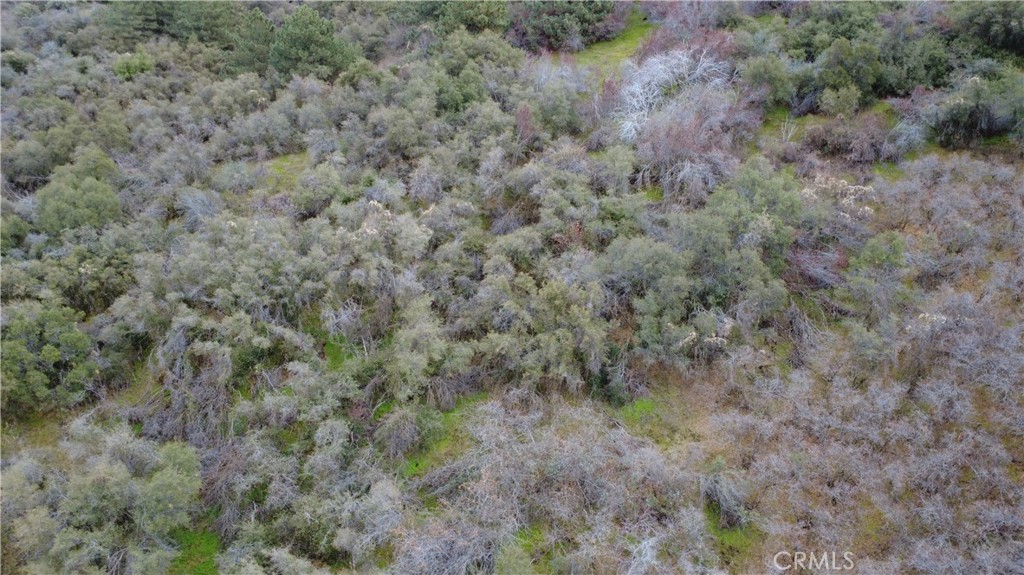 0 APN 190-430-43, Squaw Valley, CA 93675