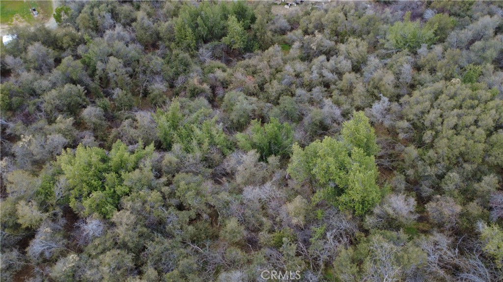 0 APN 190-430-43, Squaw Valley, CA 93675