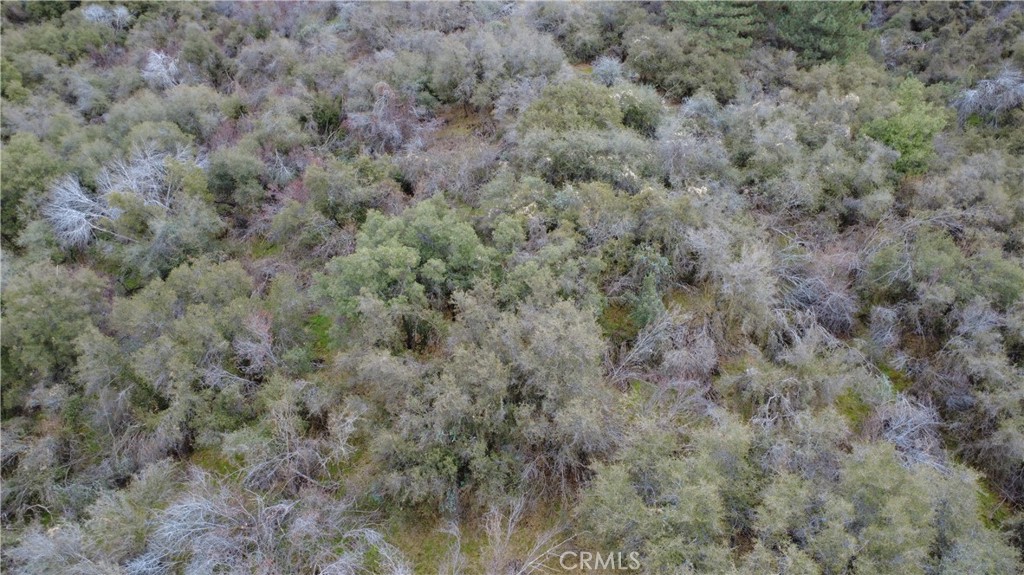 0 APN 190-430-43, Squaw Valley, CA 93675