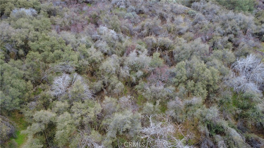 0 APN 190-430-43, Squaw Valley, CA 93675