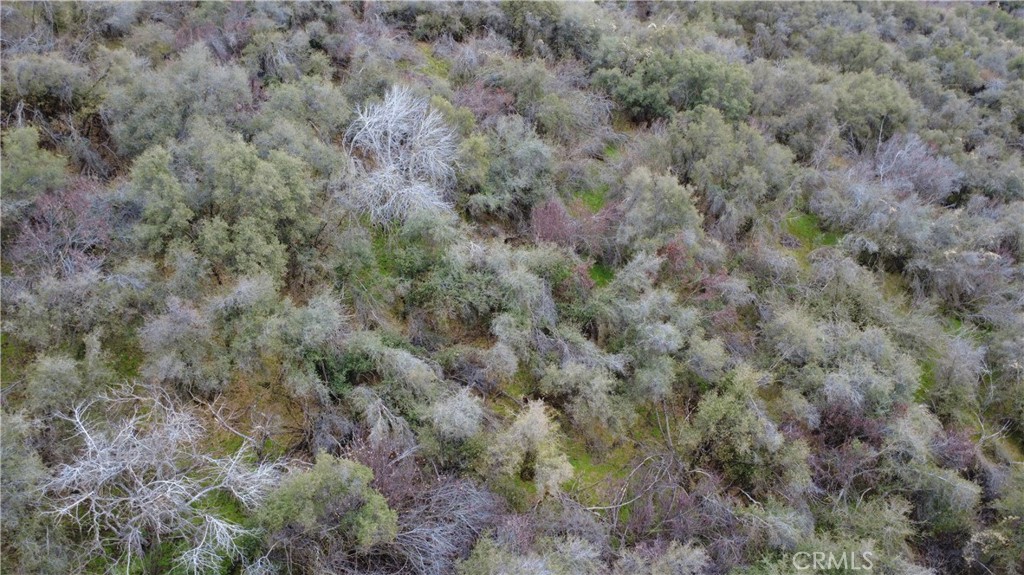 0 APN 190-430-43, Squaw Valley, CA 93675