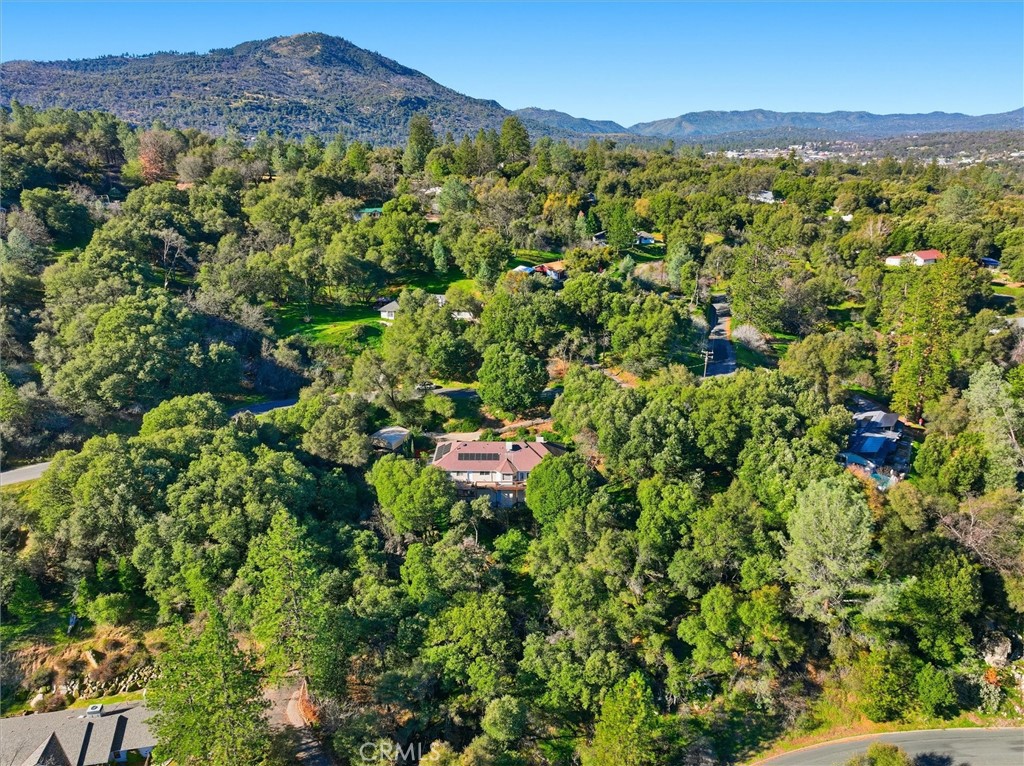 39309 Forest Park Ln, Oakhurst, CA 93644