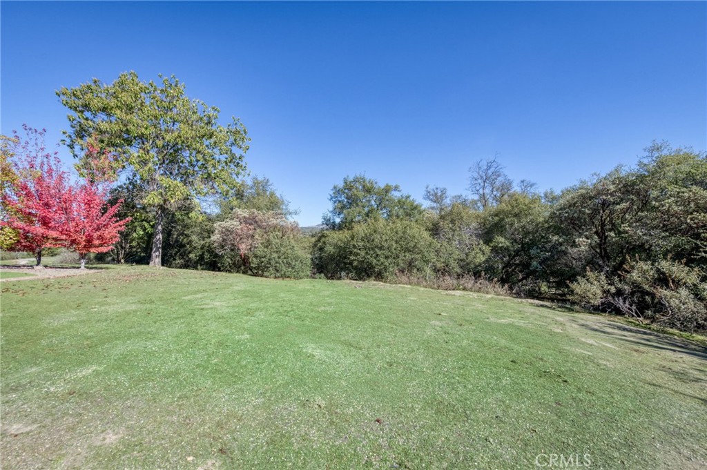 31623 Buck Run Ln, Coarsegold, CA 93614