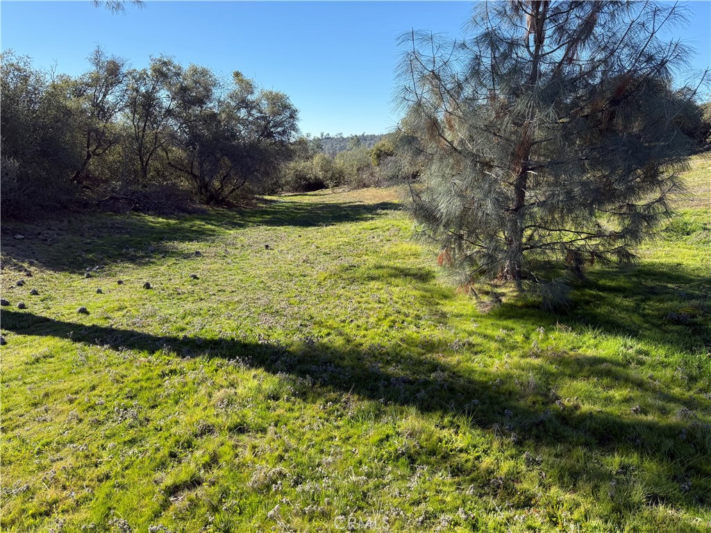 0 37.88 AC Flying O Ranch Rd., O'Neals, CA 93645