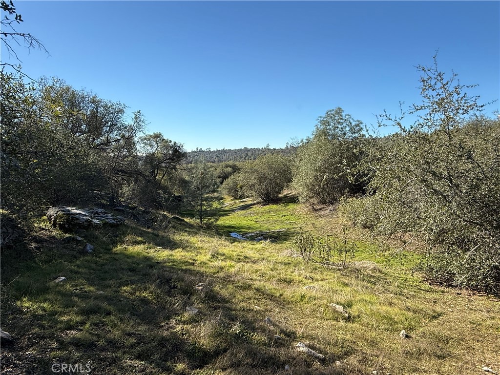 0 37.88 AC Flying O Ranch Rd., O'Neals, CA 93645
