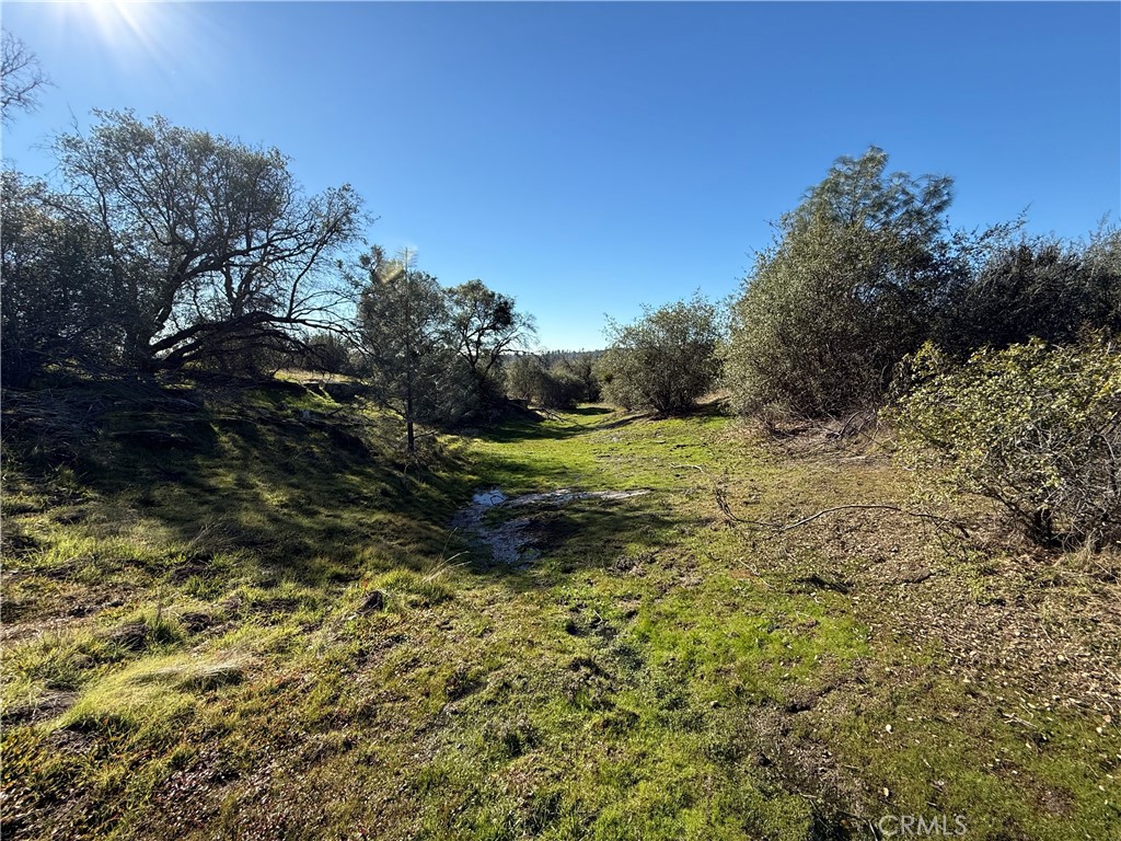 0 37.88 AC Flying O Ranch Rd., O'Neals, CA 93645