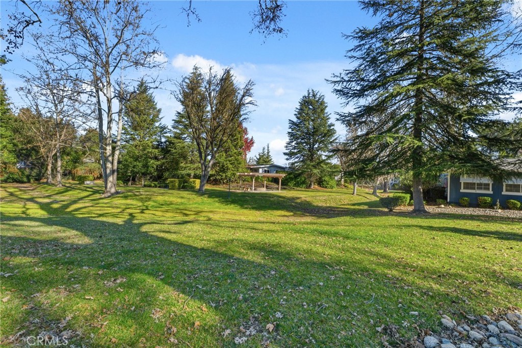 55 Via San Carlos, Paso Robles, CA 93446