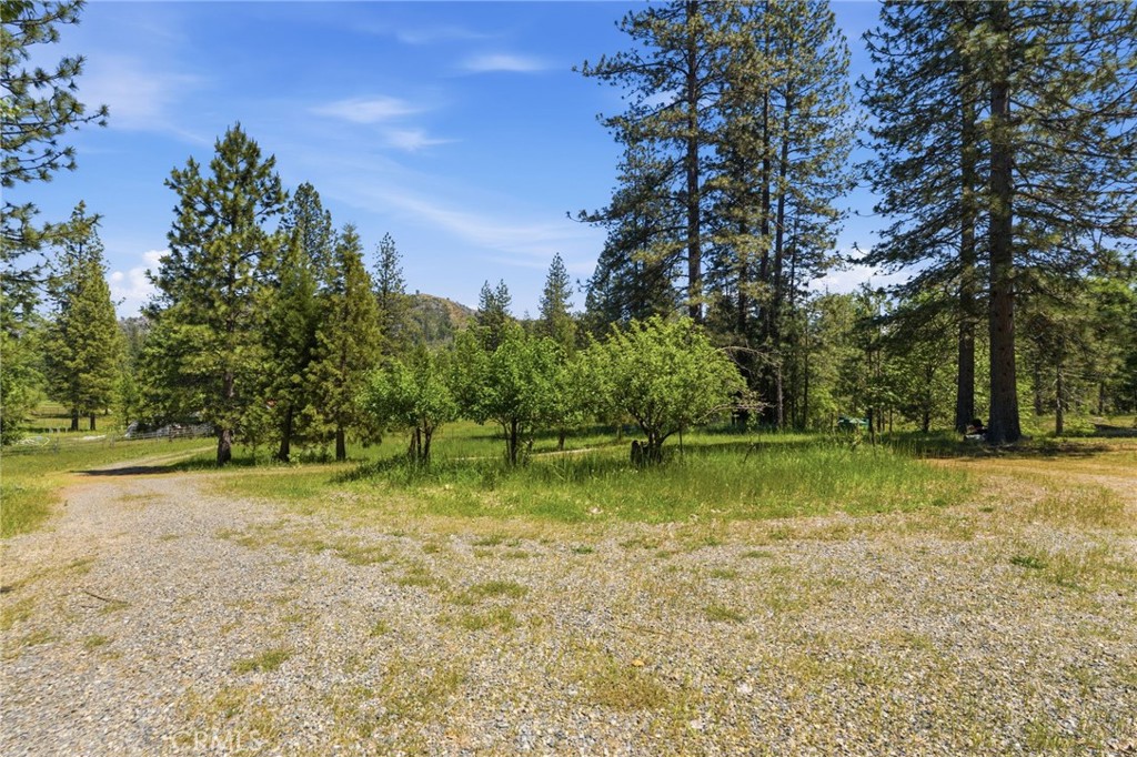 7019 Scott, Mariposa, CA 95338