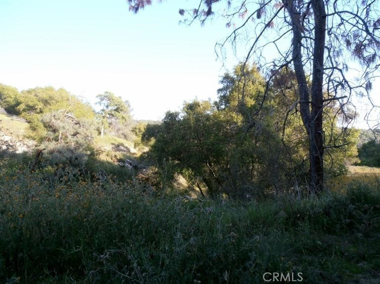 37 Lynx Ln, Prather, CA 93651