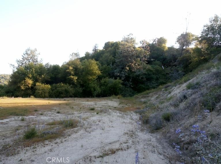 37 Lynx Ln, Prather, CA 93651