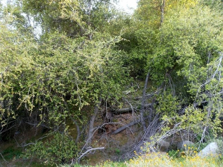 37 Lynx Ln, Prather, CA 93651