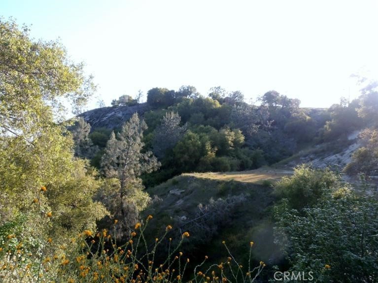 37 Lynx Ln, Prather, CA 93651