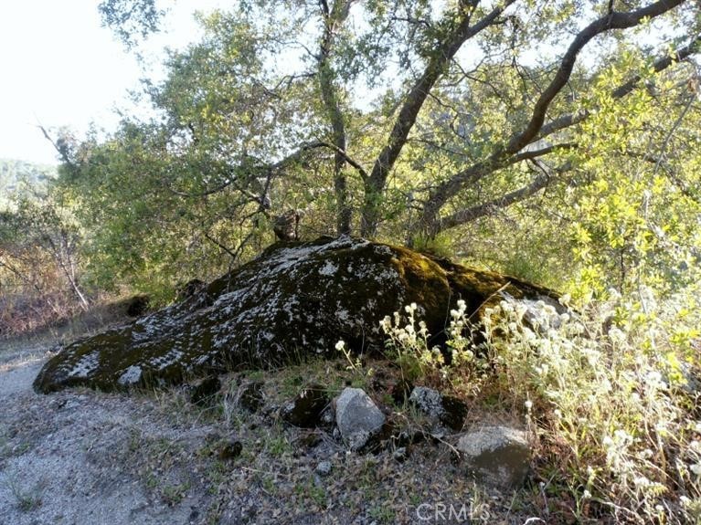 37 Lynx Ln, Prather, CA 93651