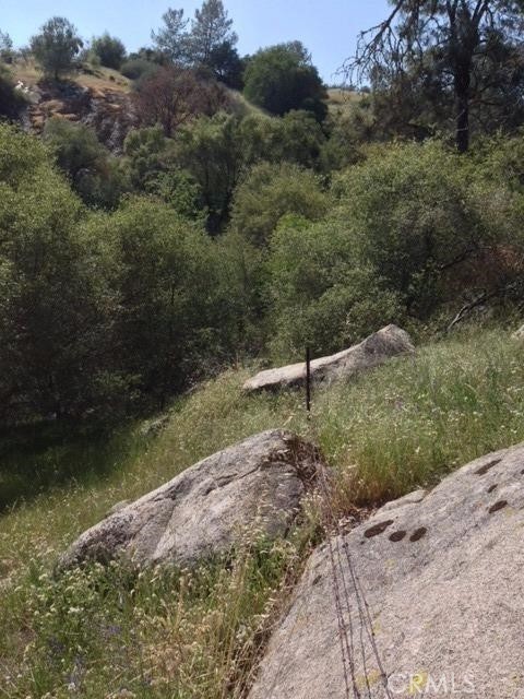 37 Lynx Ln, Prather, CA 93651
