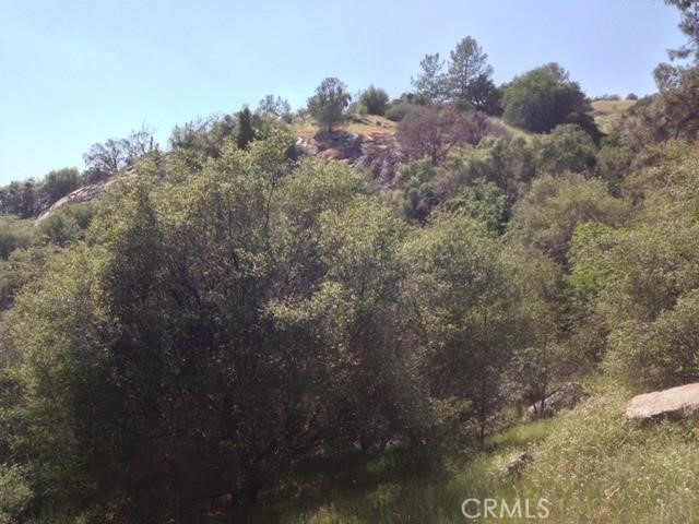 37 Lynx Ln, Prather, CA 93651