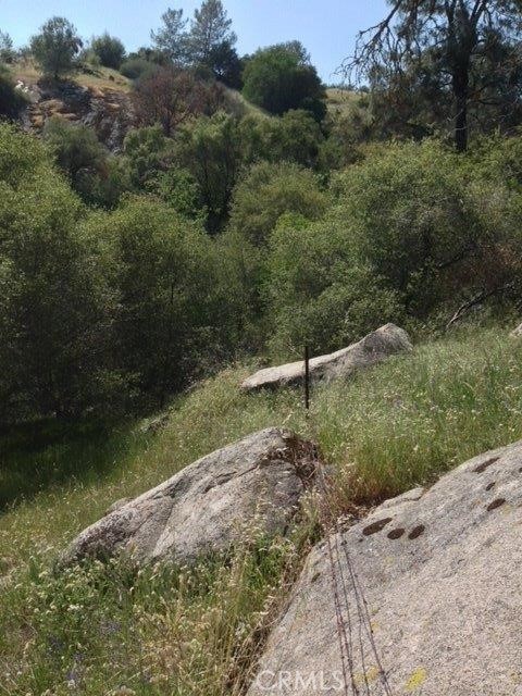 37 Lynx Ln, Prather, CA 93651