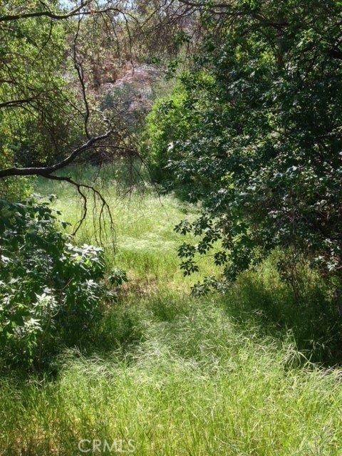 37 Lynx Ln, Prather, CA 93651