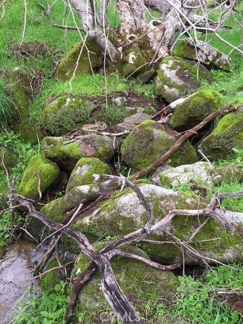 37 Lynx Ln, Prather, CA 93651