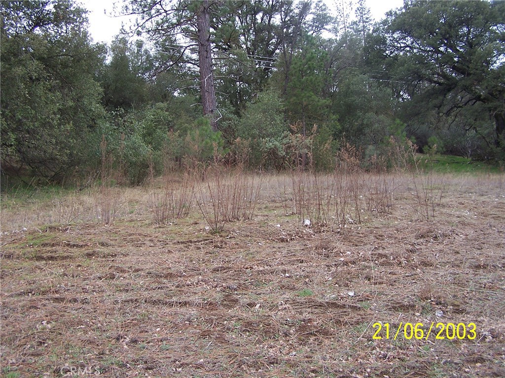 10 Jean Rd West, Oakhurst, CA 93644