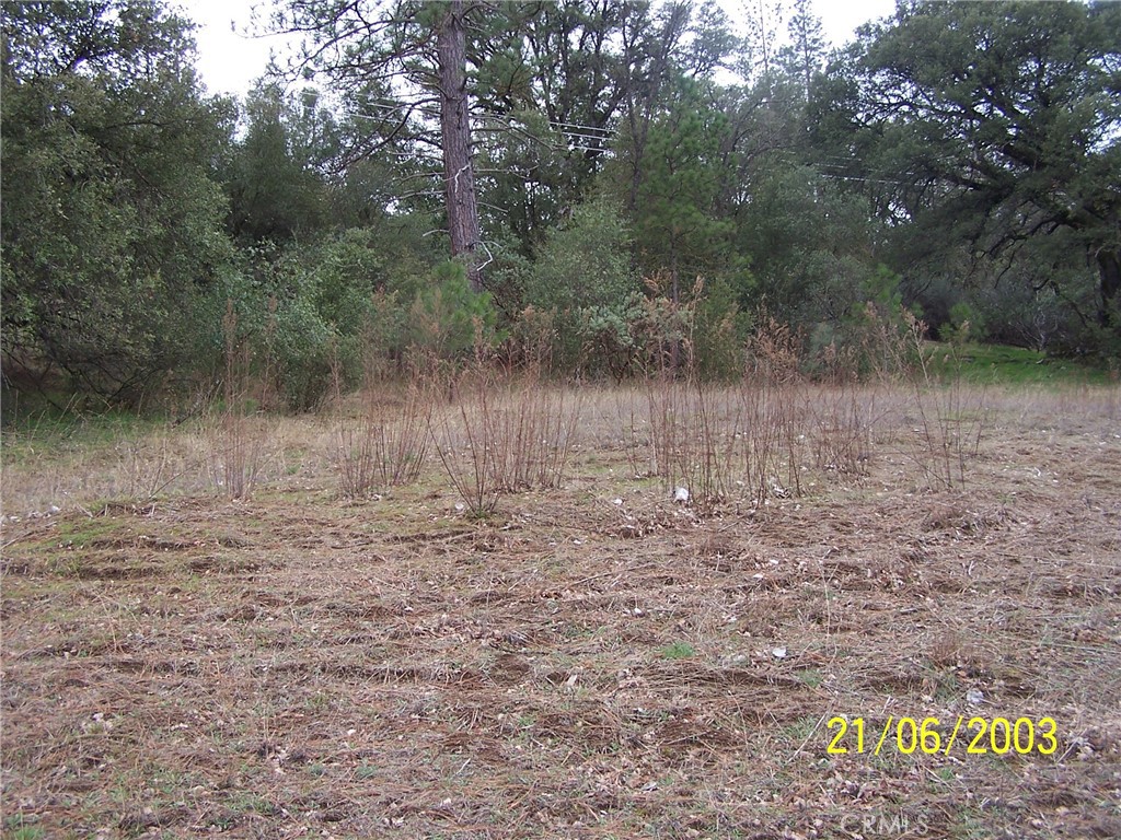 10 Jean Rd West, Oakhurst, CA 93644