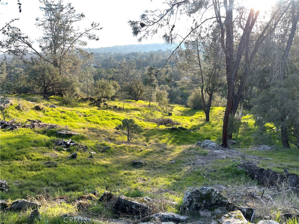 1220 Corral Dr, Coarsegold, CA 93614