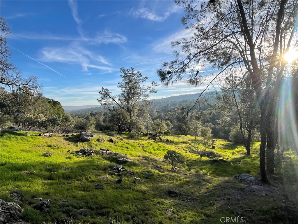 1220 Corral Dr, Coarsegold, CA 93614