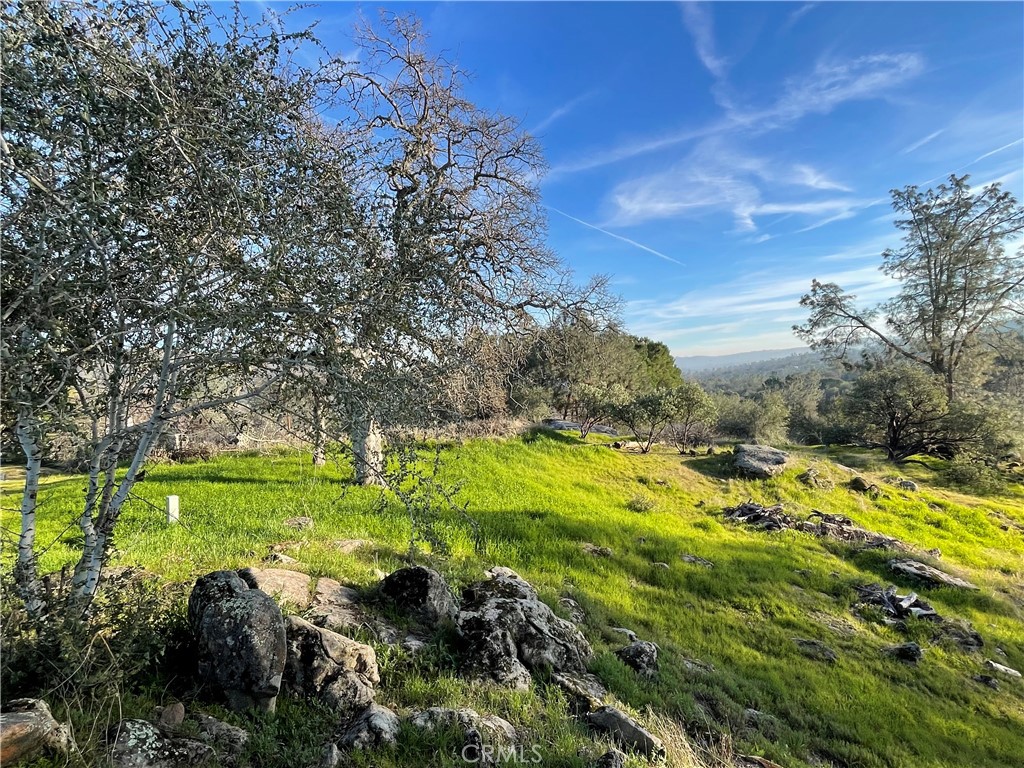 1220 Corral Dr, Coarsegold, CA 93614