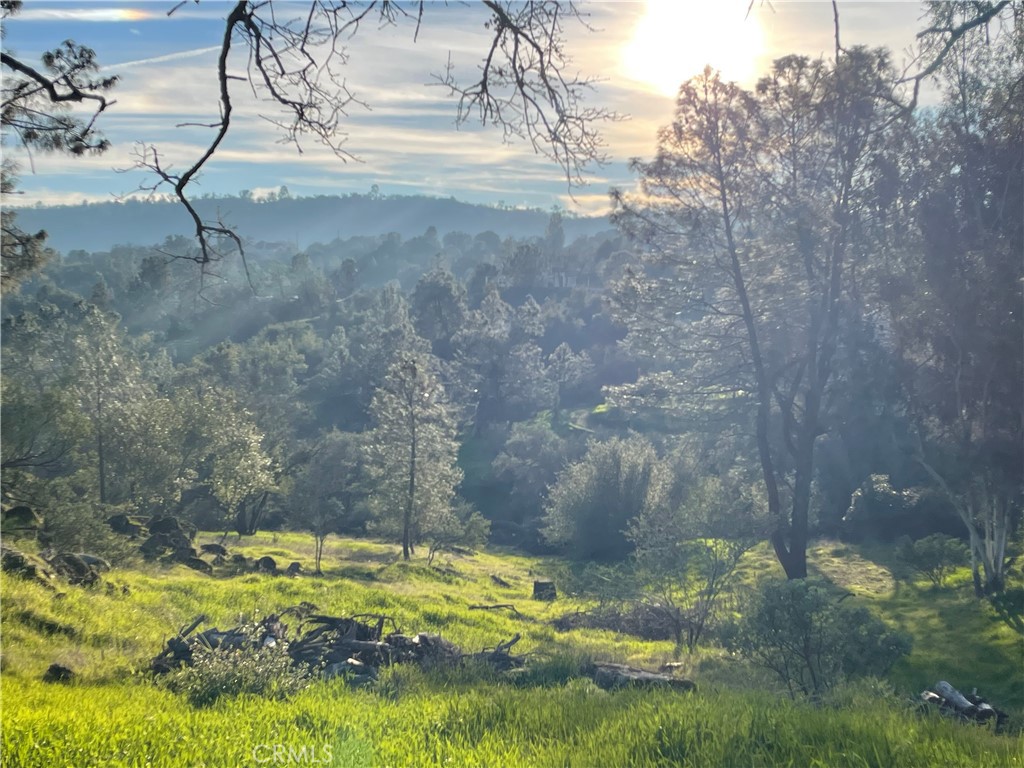 1220 Corral Dr, Coarsegold, CA 93614