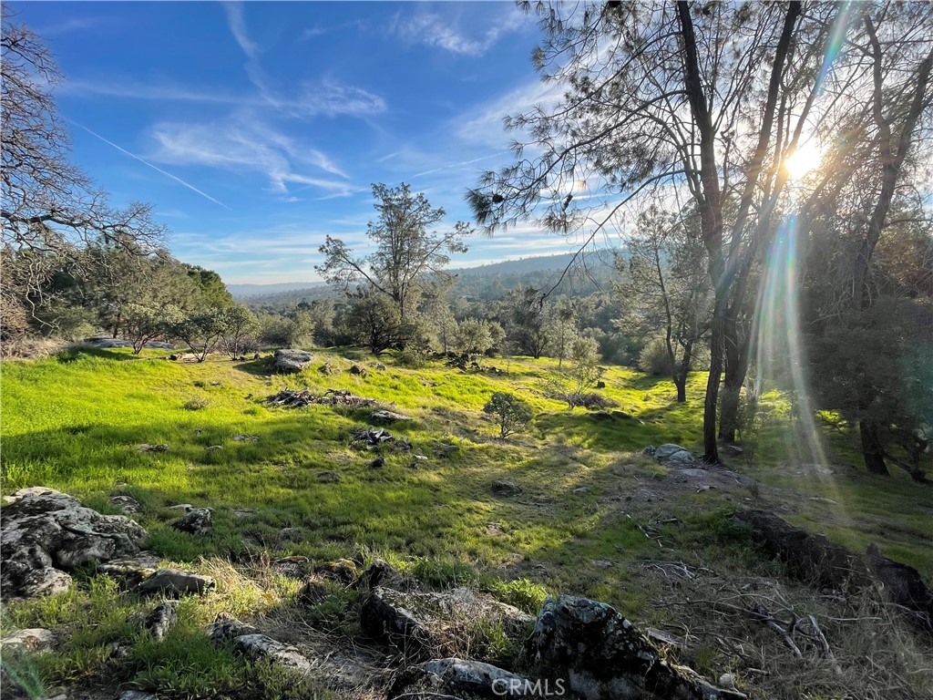 1220 Corral Dr, Coarsegold, CA 93614