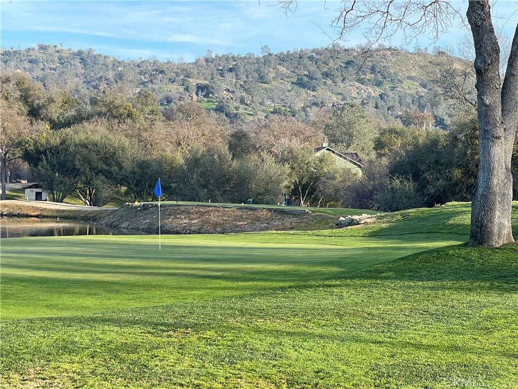 1220 Corral Dr, Coarsegold, CA 93614