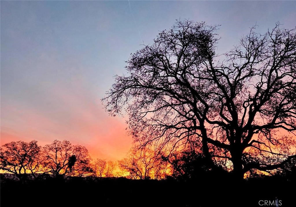 31602 Tumbleweed, Squaw Valley, CA 93675