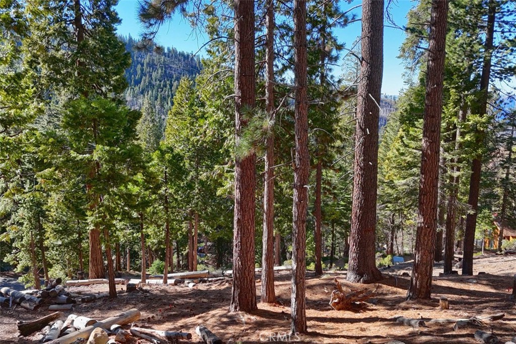 7349 & 7473 Yosemite Park Way, Yosemite, CA 95389