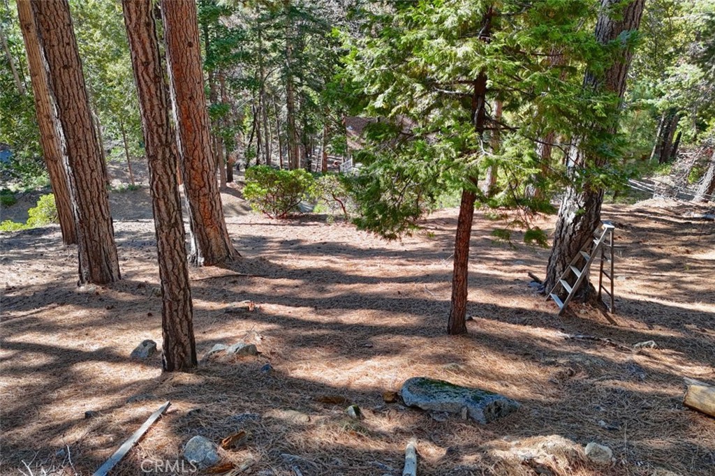 7349 & 7473 Yosemite Park Way, Yosemite, CA 95389