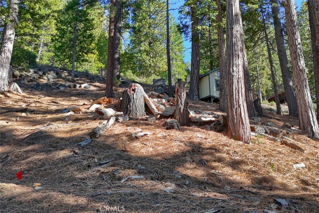 7349 & 7473 Yosemite Park Way, Yosemite, CA 95389